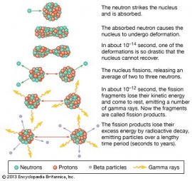 beta particle: fission of uranium nucleus [Credit: Encyclopædia Britannica, Inc.]
