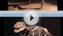 Gasosaurus - Video Learning - WizScience.com