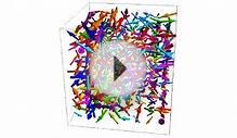 Simulation of Quark-Gluon Plasma Instabilities (cube)